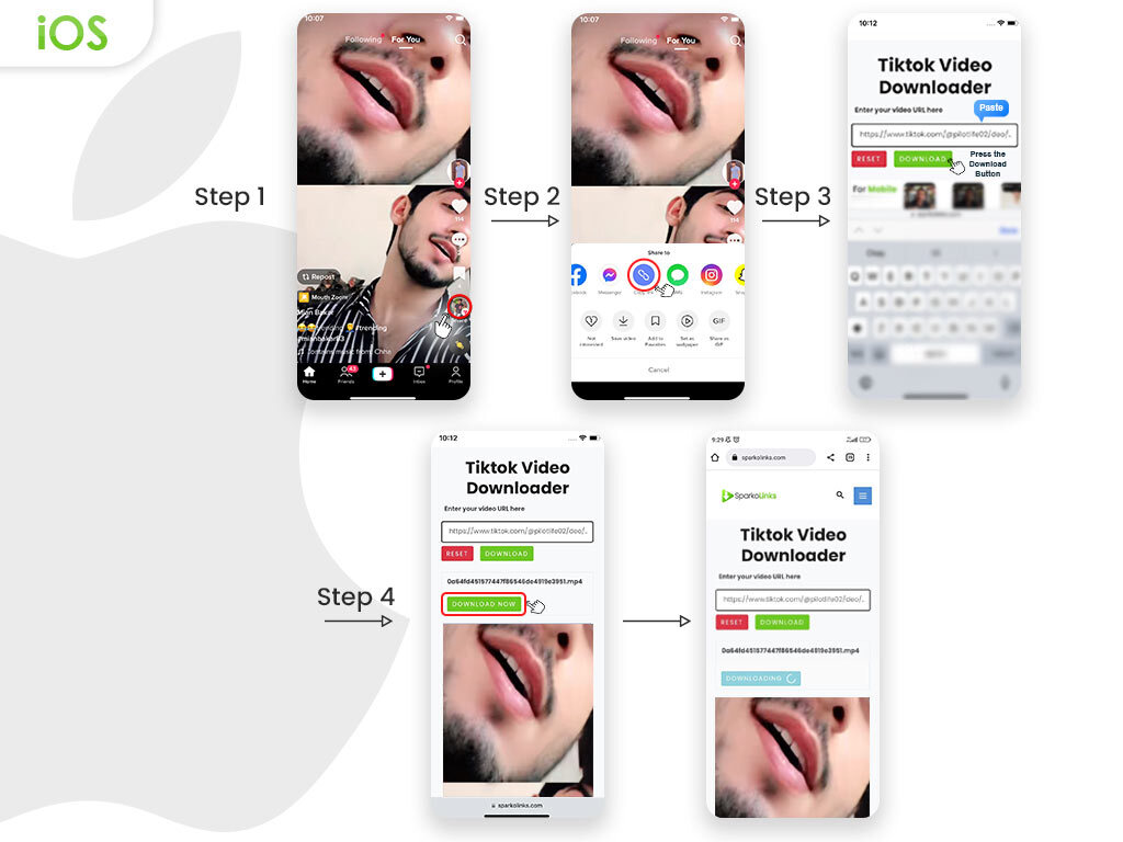How-to-use-TikTok-video-downloader-for-iPhoneiPad-.jpg
