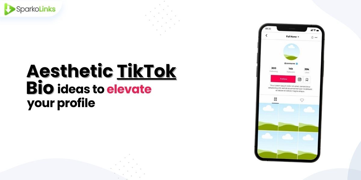 aesthetic-tiktok-bio-ideas-to-elevate-your-profile